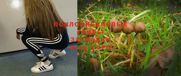 spice Алексин