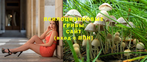 прущая мука Алзамай