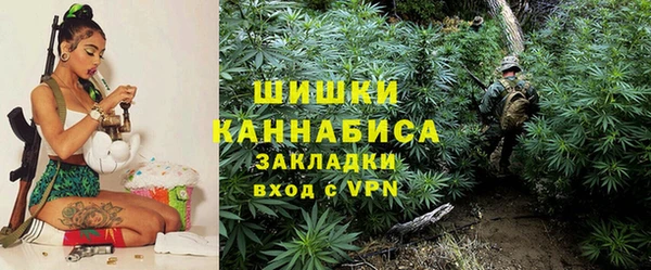 spice Алексин