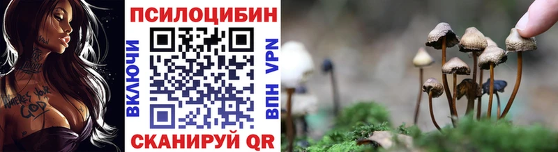 купить наркотик  Мещовск  Галлюциногенные грибы MAGIC MUSHROOMS 